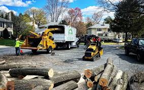 Trusted Owosso, MI Tree Removal and Landscaping Services Experts